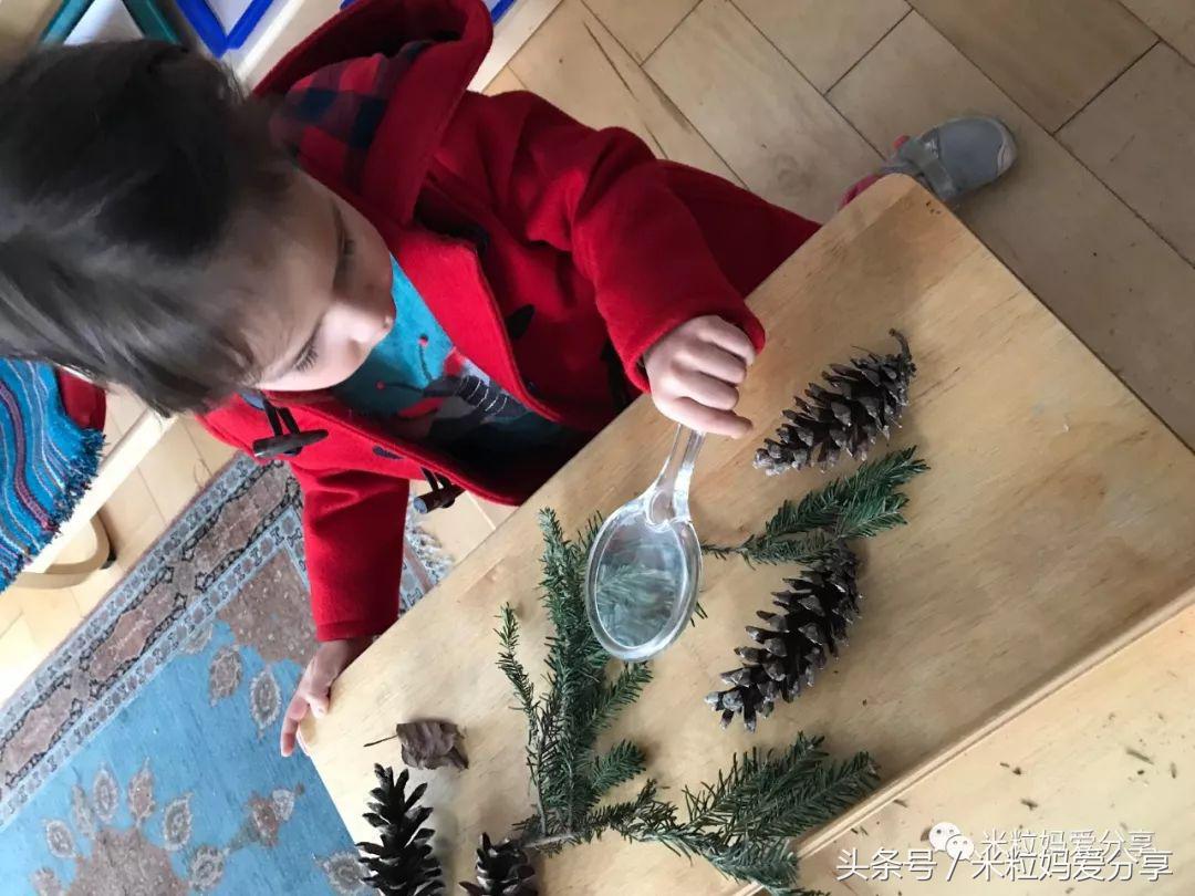 蒙台梭利幼儿园怎么选择,为何要送孩子去蒙特梭利幼儿园