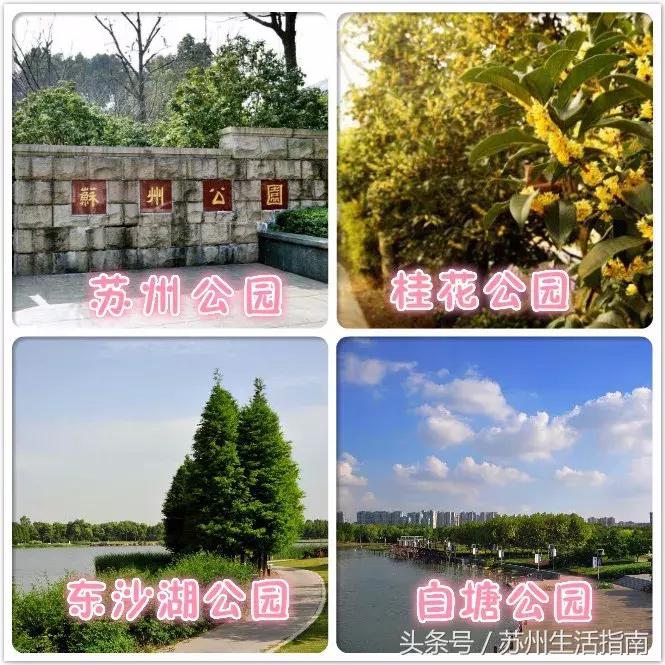 鏀跺ソ杩欎唤鏀荤暐甯︿綘浜彈瑙嗚鐩涘,鏀跺ソ杩欎唤鏃呰鏀荤暐