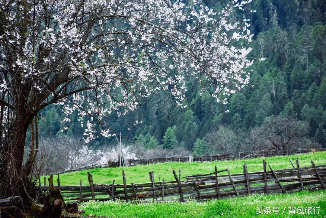 最适合和闺蜜一起去的国家,适合闺蜜去旅行的地方推荐