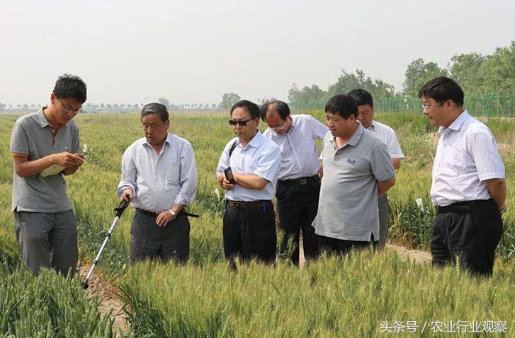 农产品加工的发展趋势,分析农业行业的成功案例