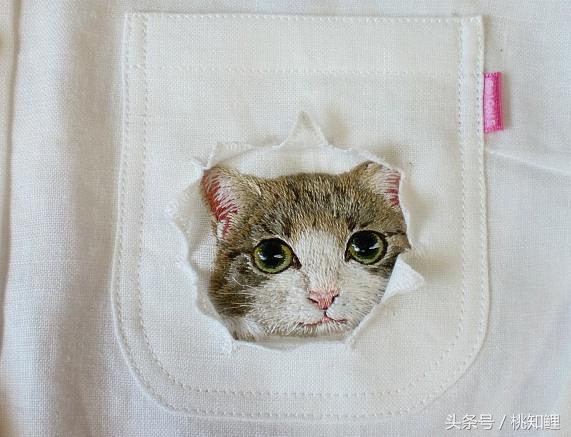 萌化了！网友上班带猫被误认为手机壳，简直是爆红的口袋猫同款