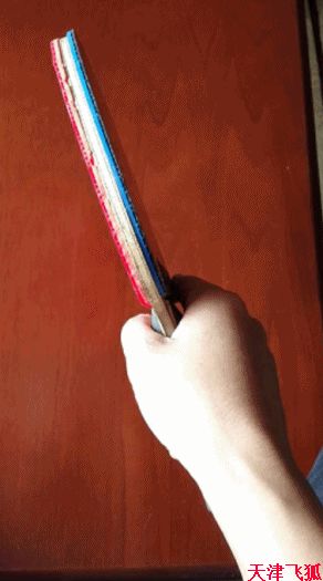 乒乓球训练教材,乒乓球系统训练计划明细表