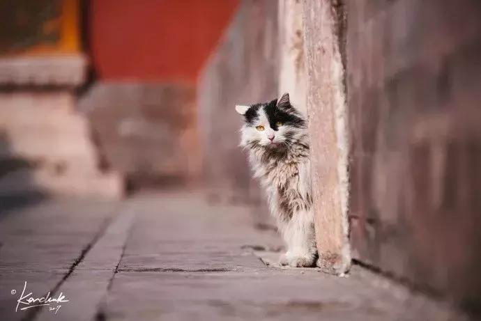 鏁呭18鍙尗,鏁呭鍚哥尗181鍙尗