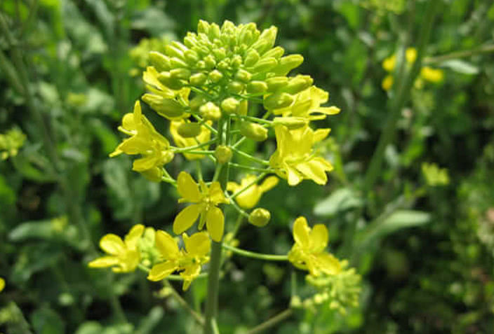 领导对你很防备,领导对你有这三个前兆