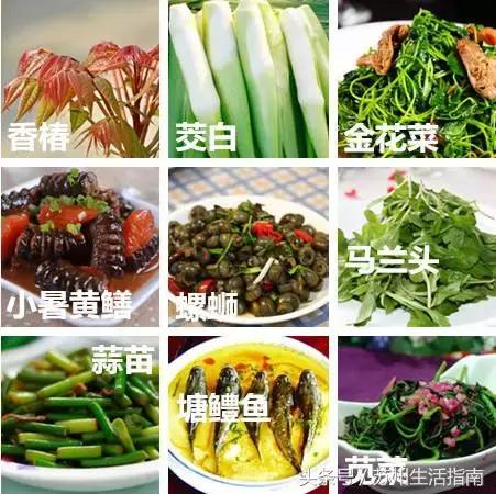 鏀跺ソ杩欎唤鏀荤暐甯︿綘浜彈瑙嗚鐩涘,鏀跺ソ杩欎唤鏃呰鏀荤暐