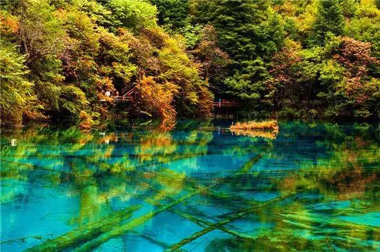 九寨沟震后形成新景观,人间仙境九寨沟震后依然山清水秀