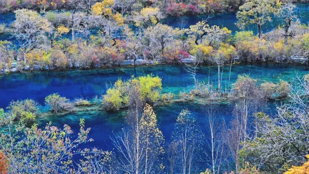 九寨沟震后形成新景观,人间仙境九寨沟震后依然山清水秀