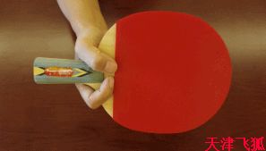 乒乓球训练教材,乒乓球系统训练计划明细表