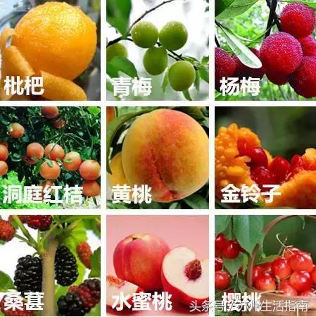 鏀跺ソ杩欎唤鏀荤暐甯︿綘浜彈瑙嗚鐩涘,鏀跺ソ杩欎唤鏃呰鏀荤暐