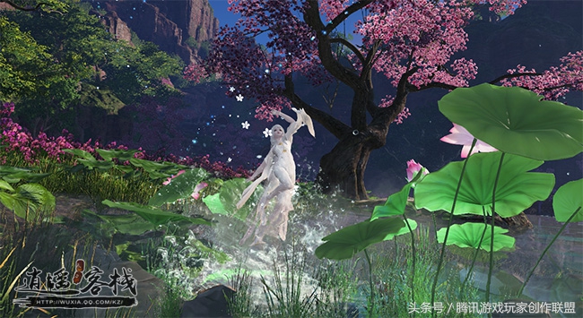 春暖花开赏花时五彩缤纷,春暖花开时繁花向阳开