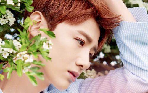 说好的喉结控：白敬亭温柔鹿晗深沉，让*欲人**罢不能的却是他