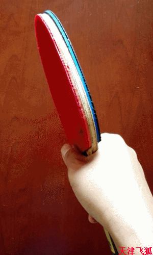 乒乓球训练教材,乒乓球系统训练计划明细表