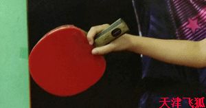 乒乓球训练教材,乒乓球系统训练计划明细表