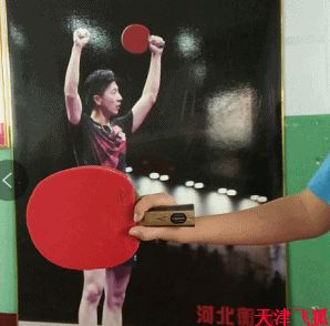 乒乓球训练教材,乒乓球系统训练计划明细表