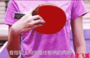 乒乓球训练教材,乒乓球系统训练计划明细表