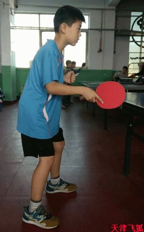 乒乓球训练教材,乒乓球系统训练计划明细表