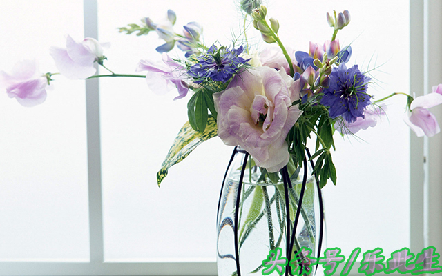 100个聪颖生活小知识,100个实用生活小技巧拿走不谢