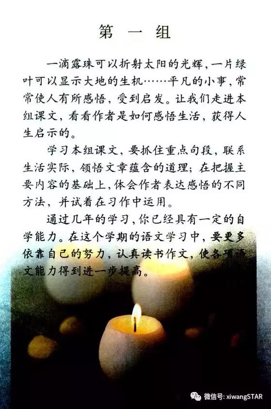 媛媛妈部编版六年级语文第一单元,媛媛妈教六年级下册语文寒食