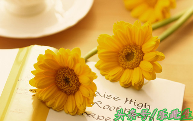 100个聪颖生活小知识,100个实用生活小技巧拿走不谢