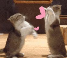 汽车音乐节宣传,汽车音乐节现场怎么样