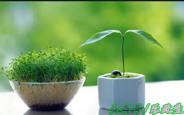 100个聪颖生活小知识,100个实用生活小技巧拿走不谢