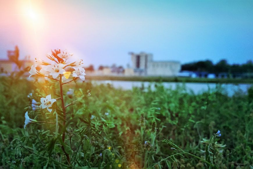 我真的讨厌异地军恋，但我也是真的爱你