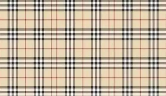 格纹怎么穿显瘦,韩式格纹怎么穿