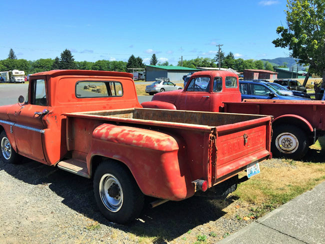 暮光之城贝拉叫什么,暮光之城贝拉开的什么车