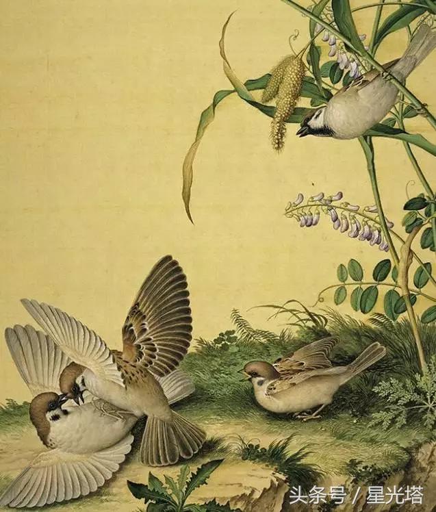 女性雄性激素过高怎么治,雄性激素过高是怎么引起的