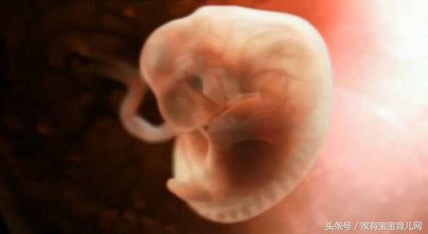 怀胎十月每个月关注的问题,怀胎十月最怕什么