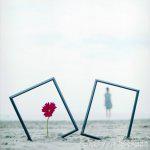 双胞胎姐妹同时爱上男孩,双胞胎姐妹同时爱上小伙