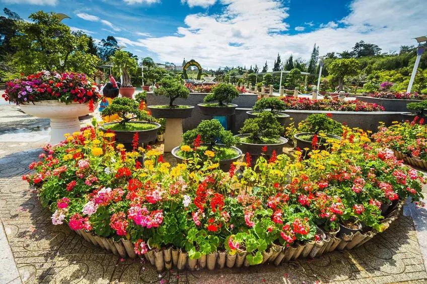 越南市井风情,越南边境风情