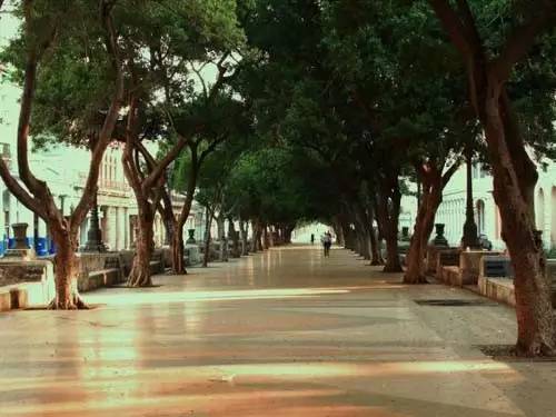 马德里怎么坐公交,马德里如何坐地铁