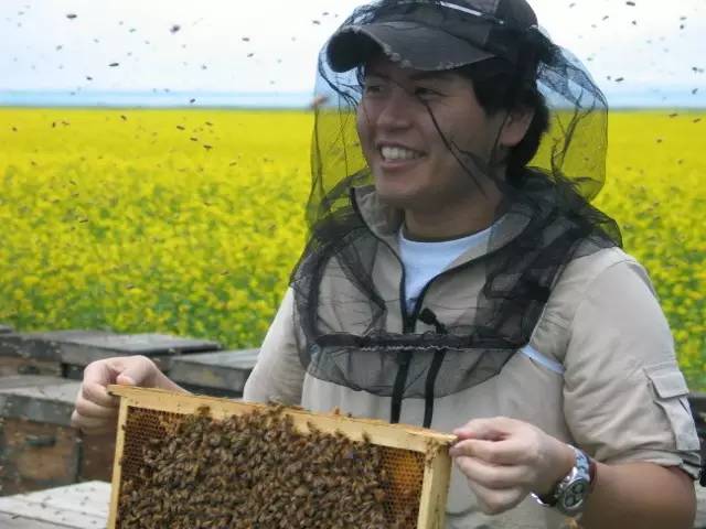 青海三文鱼网购,青海三文鱼购买网站