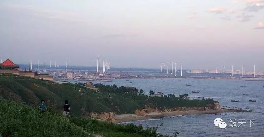 鲅鱼圈区旅游攻略,鲅鱼圈旅游攻略推荐