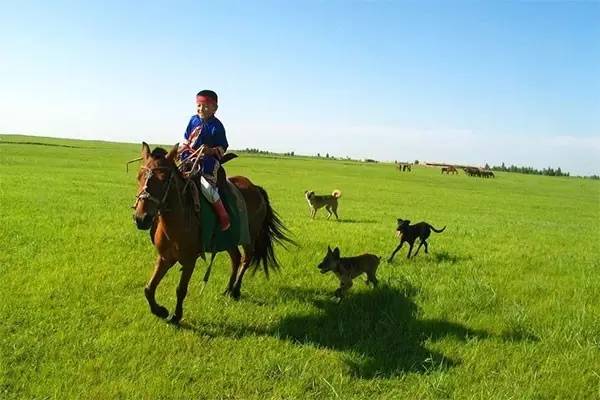 普天同庆六一快乐,普天同庆六一儿童节