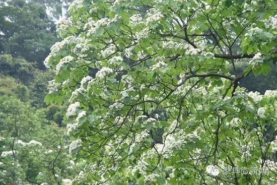 家具涂料的秘密：竟有这么多学问！