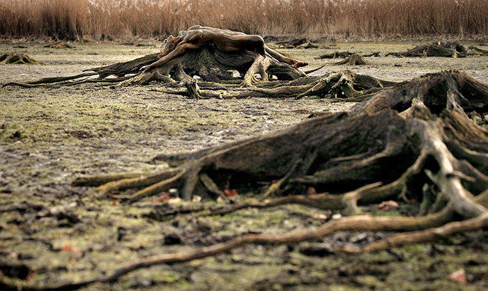 融入大自然拍照,融入大自然美景美拍