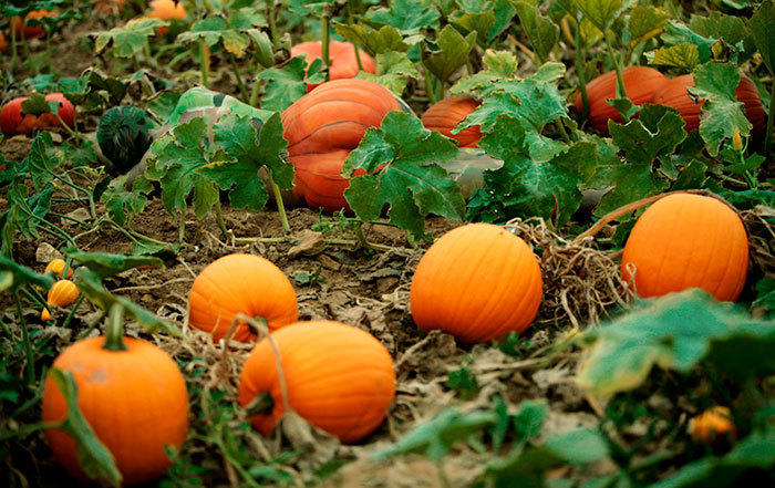 融入大自然拍照,融入大自然美景美拍