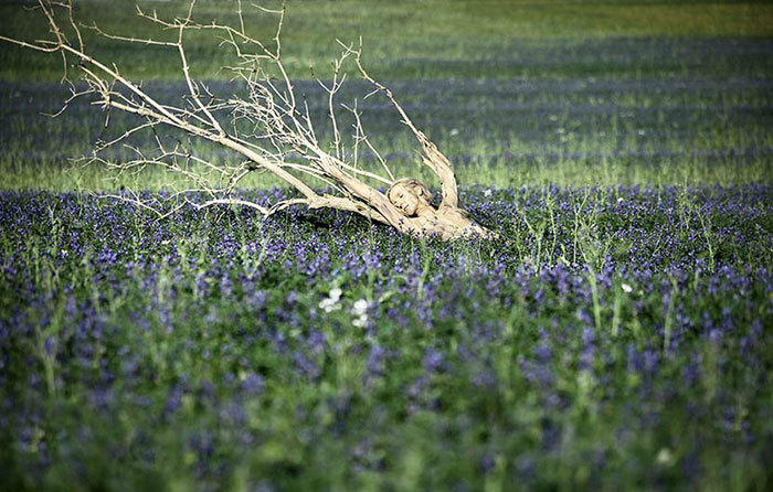 融入大自然拍照,融入大自然美景美拍