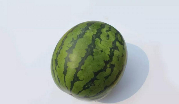 西瓜用勺子挖一半,西瓜用勺子挖着吃有什么不好