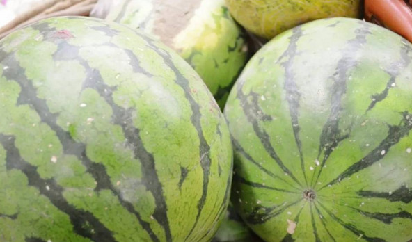 西瓜用勺子挖一半,西瓜用勺子挖着吃有什么不好