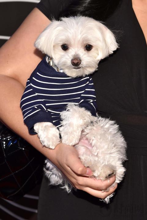 汽车智能传感器目标识别,汽车智能传感器检测