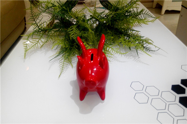 小米存钱罐开箱,小米存钱罐49元