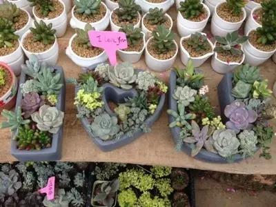 如果哪天你在长沙生活不下去了，一定要看这条微信！