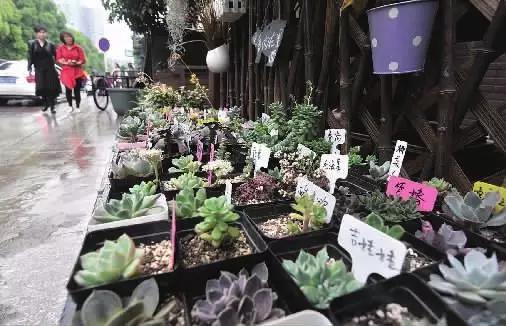 如果哪天你在长沙生活不下去了，一定要看这条微信！