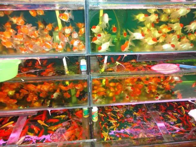 如果哪天你在长沙生活不下去了，一定要看这条微信！