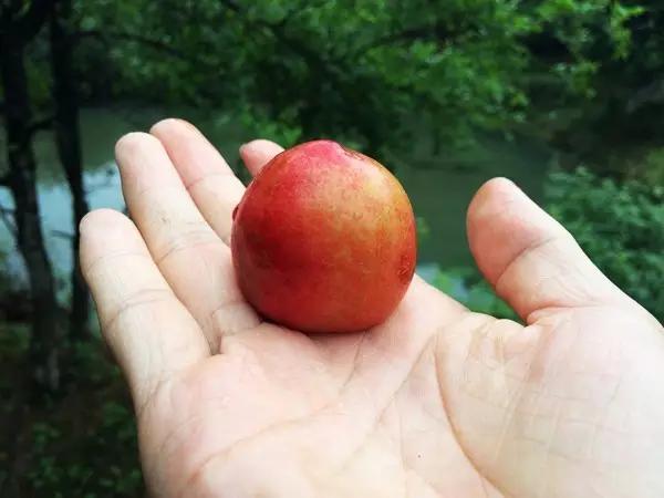 水浇多了补救视频,水浇多了变稀泥怎么办