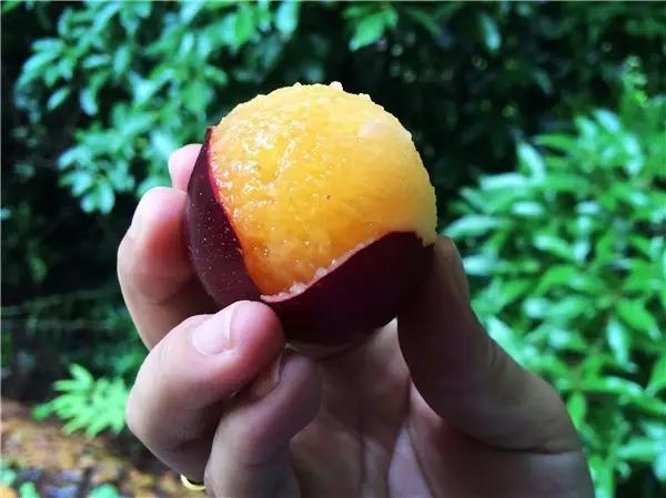 水浇多了补救视频,水浇多了变稀泥怎么办