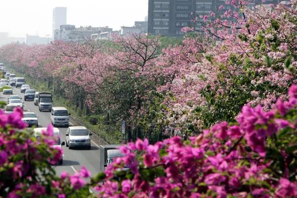 广州超5000亿元项目动工,广州各区重大投资项目2023年